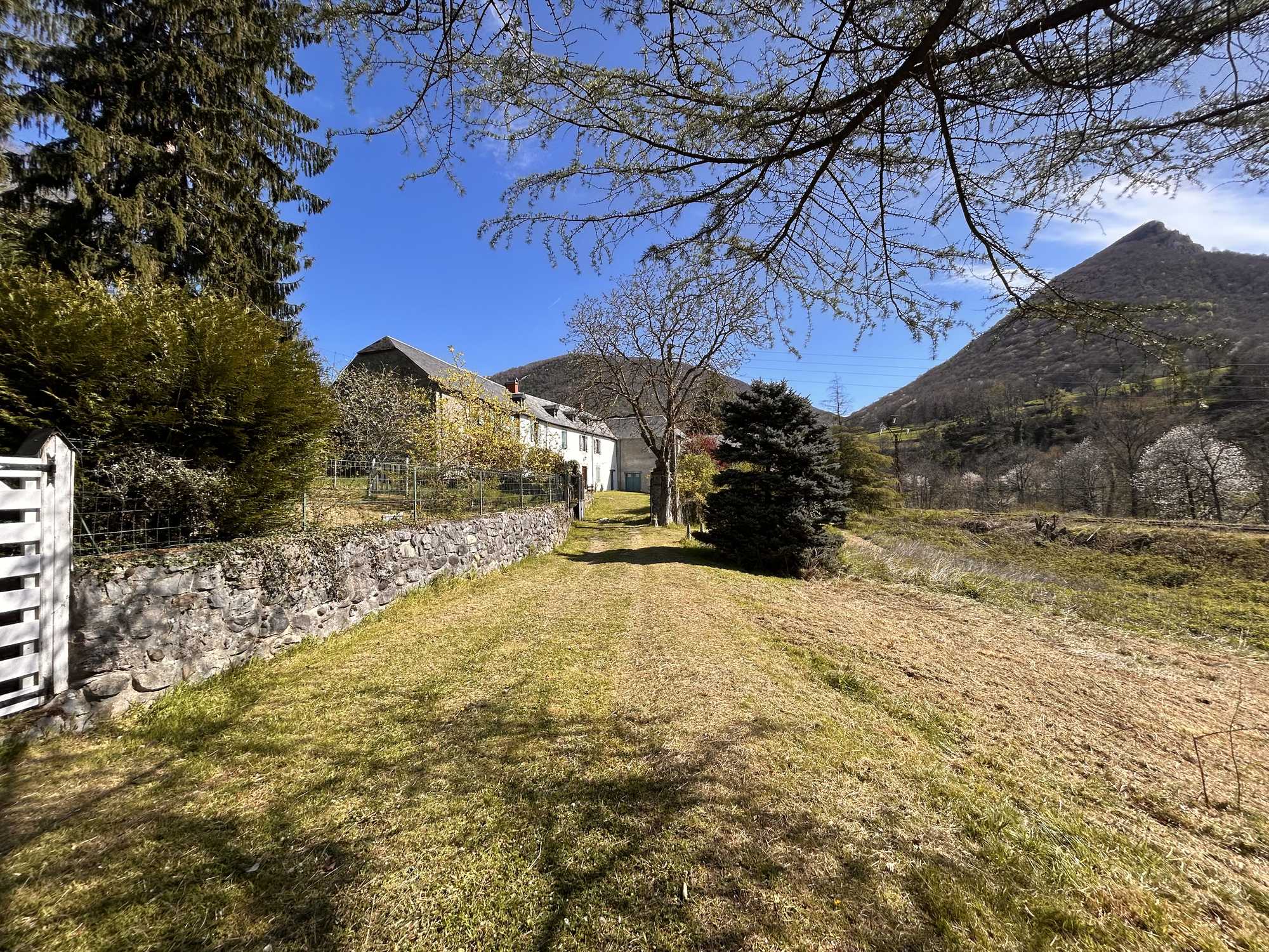 Chemin d'accès en herbe vers la maison