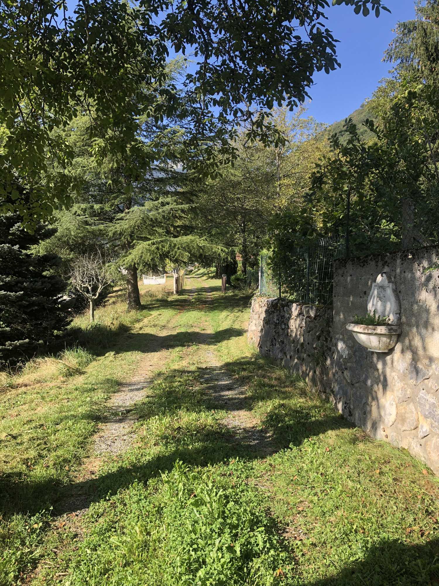 Chemin d'accès en pierre avec végétation